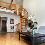 Amazing Duplex In Center Basel!