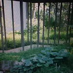 Avliving City Flat Basel With Roof Garden