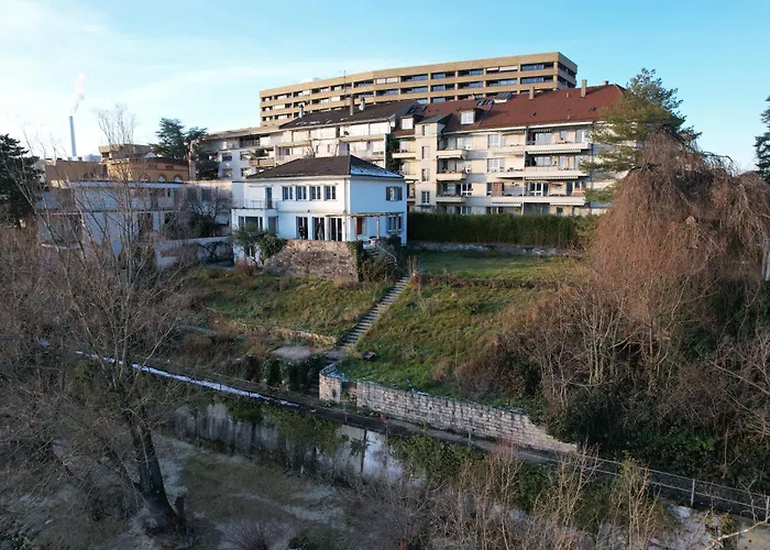 Rhine View