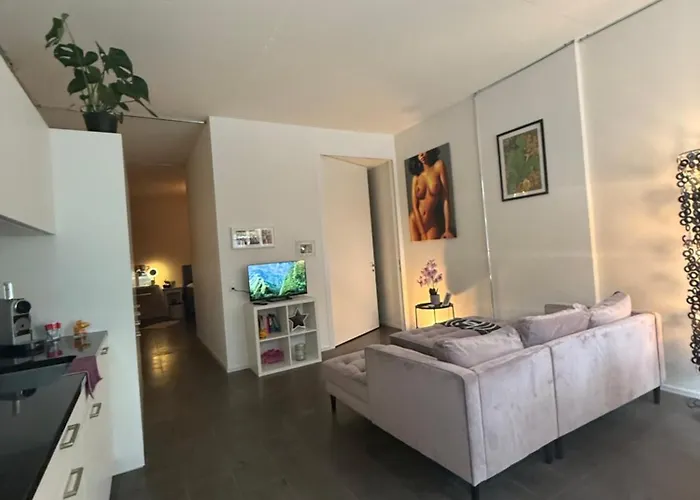 Loft By Messe Basel With A Garden And 24H Service