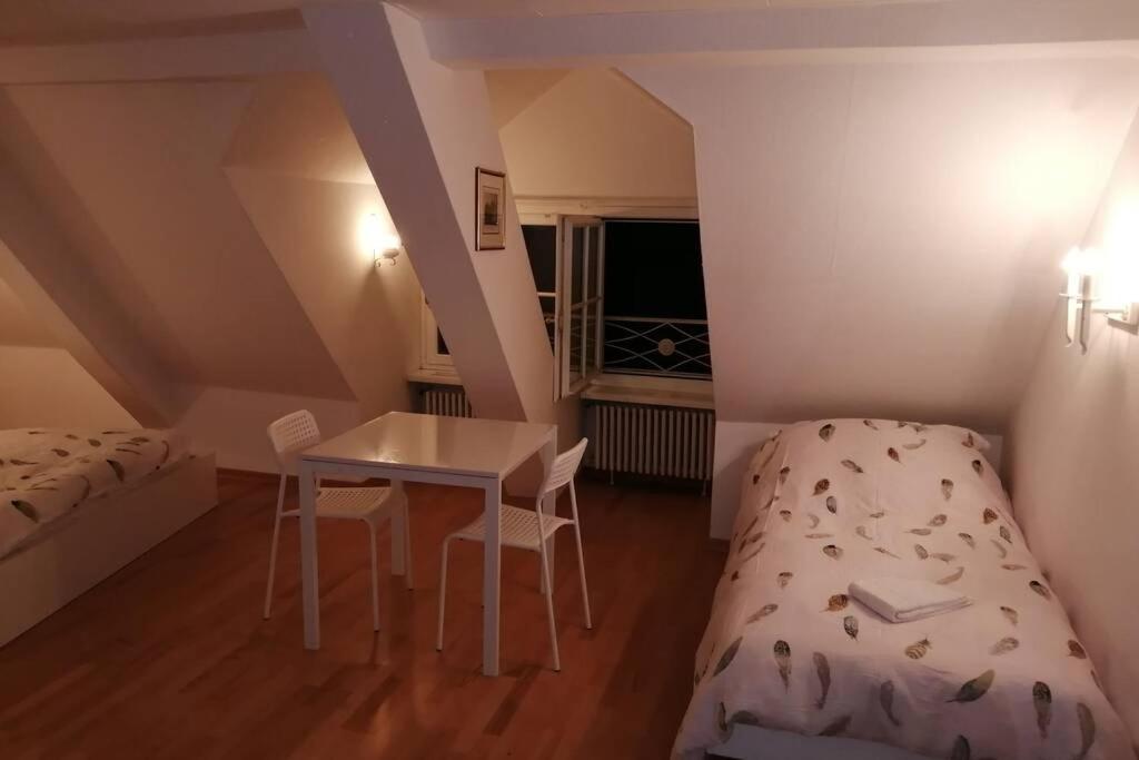 Studio F Am Barfusserplatz Central Old Town * Basel