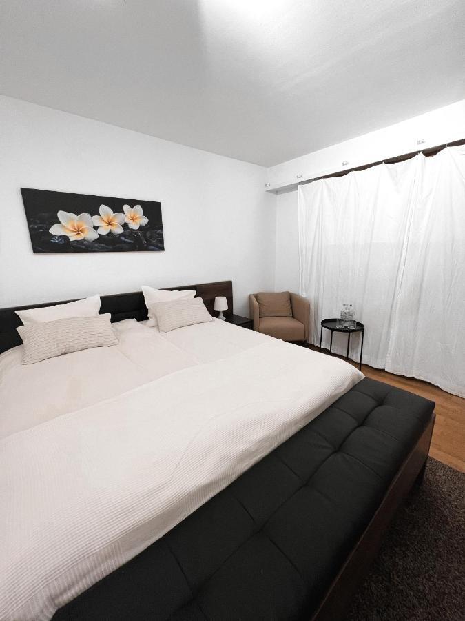 Apartment Eine Schoene Im Herzen Von Basel. *
