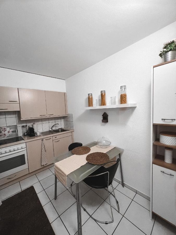 Eine Schoene Im Herzen Von Basel. Apartment