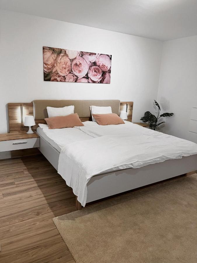 Apartment Eine Schoene Im Herzen Von Basel. Basel