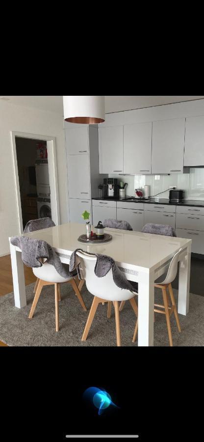 Traum Mit Gratis Parking Apartment Basel