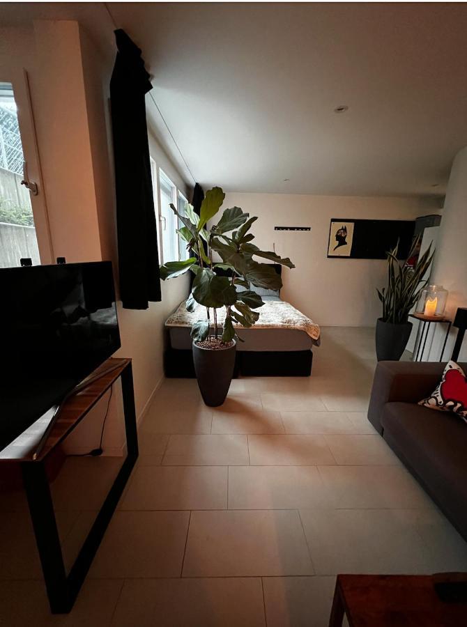 Cozy New Flat 40sqm, Onfront Busstation, 10min To Centre Apartment Basel