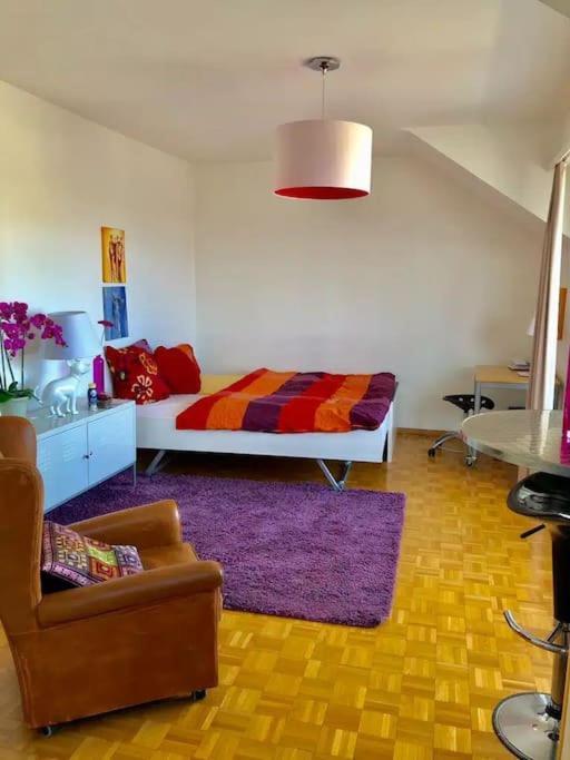 Ganze Mit Balkon,schoene Aussicht,kueche,bad,wifi Basel