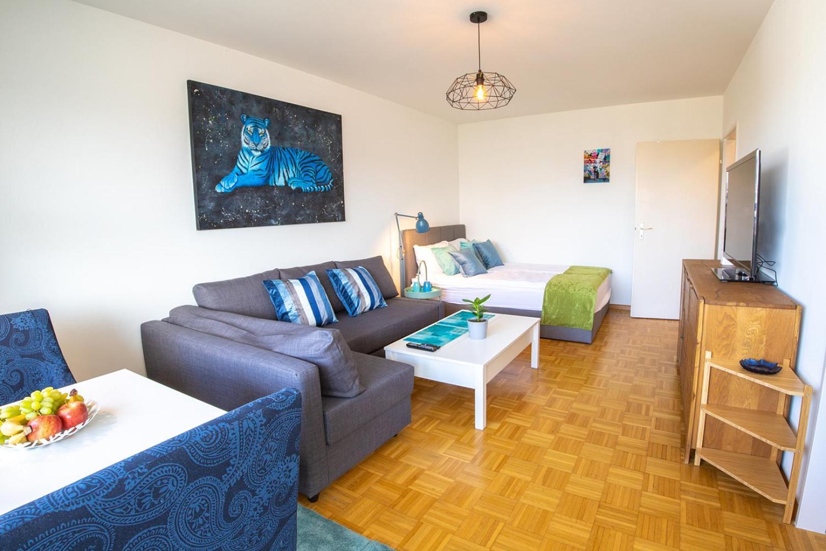 Special Blue Tiger Basel, Messe Kleinbasel 10-star Apartment