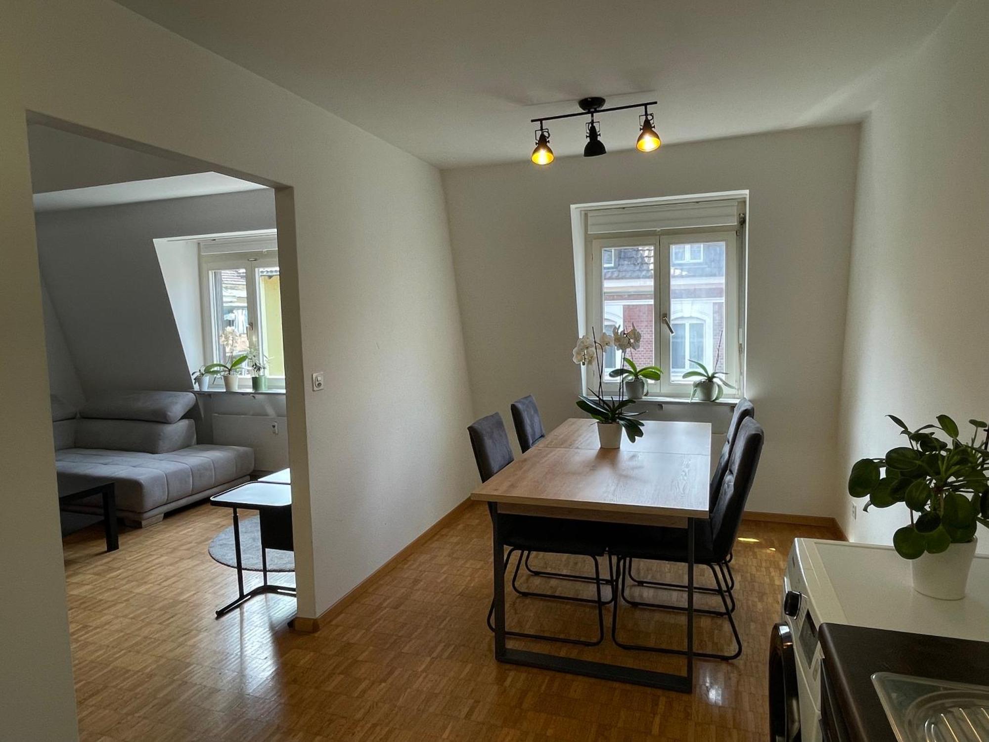 Apartment Amazing Duplex In Center Basel! *