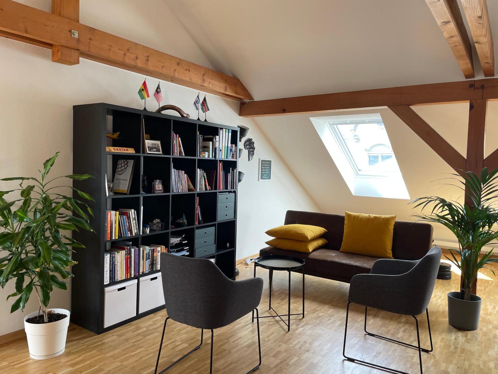 Amazing Duplex In Center Basel! Apartment