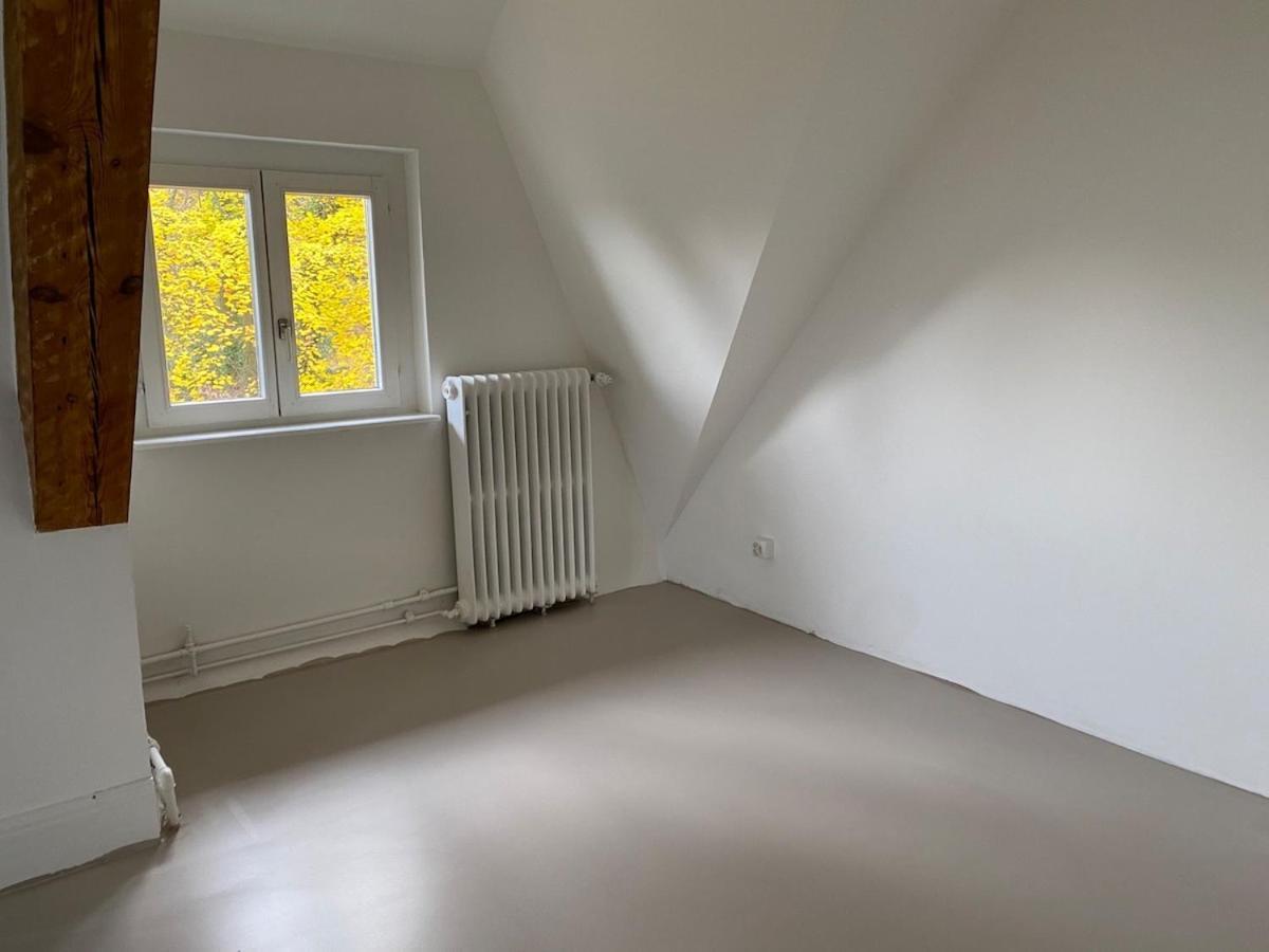 Villa 4 Story, 12 Beds, Near Eurovision Contest Basel