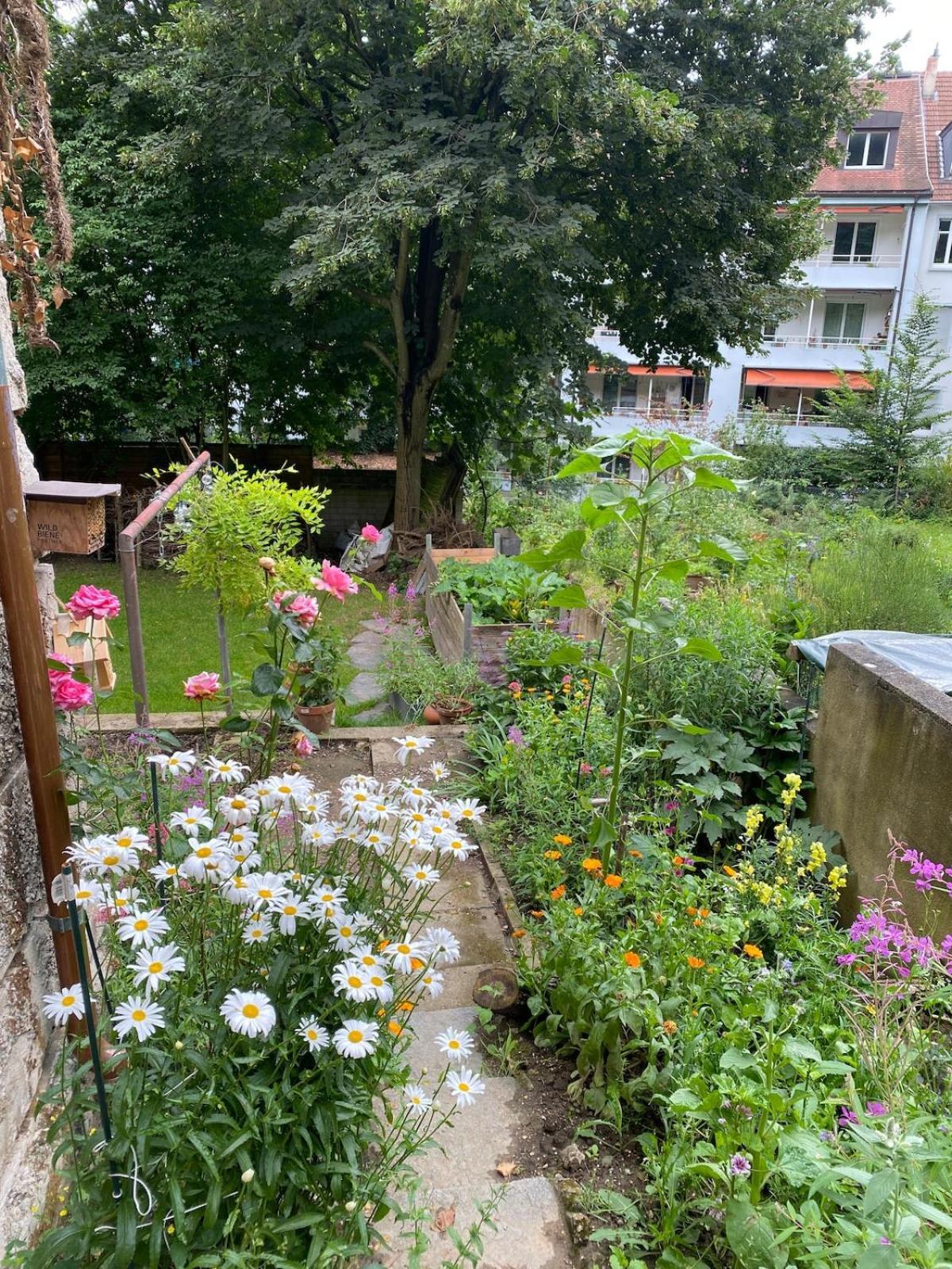 4 Story, 12 Beds, Near Eurovision Contest Villa