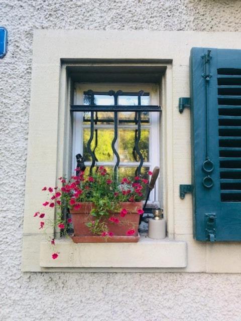 Villa 4 Story, 12 Beds, Near Eurovision Contest