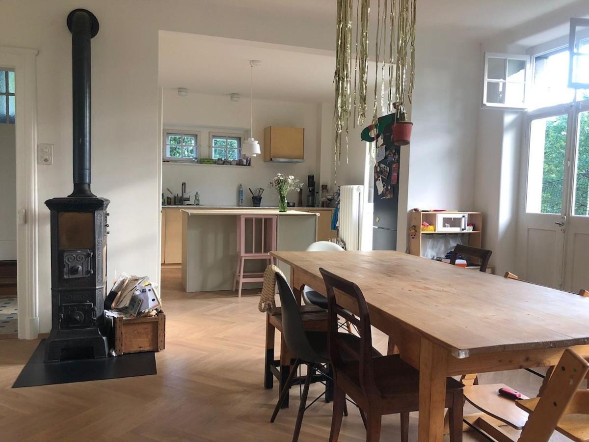 4 Story, 12 Beds, Near Eurovision Contest Villa Basel