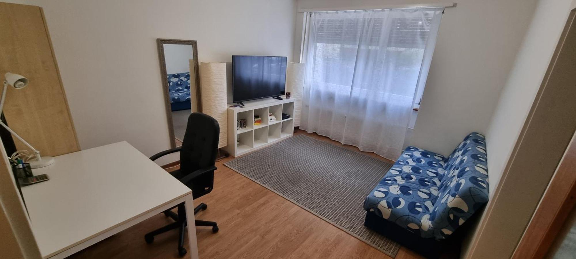 Basel Apartment