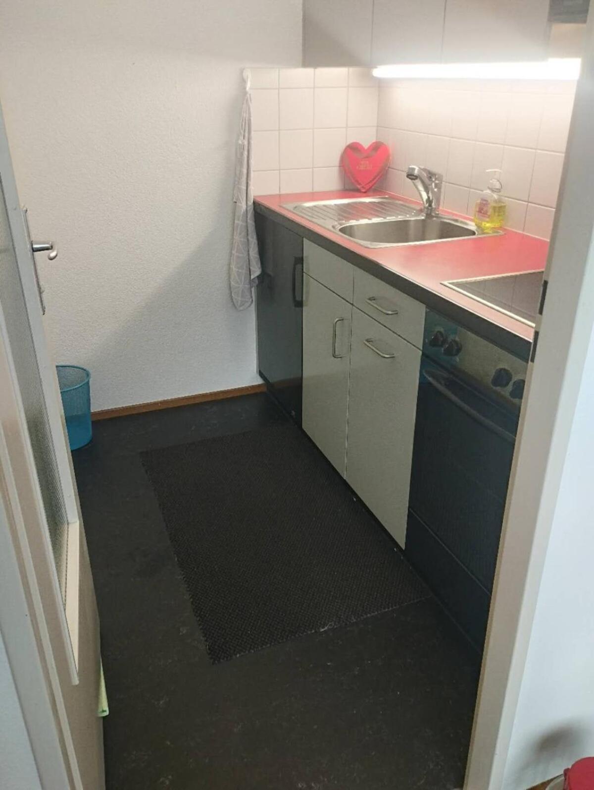 Bright Flat With Workspace Near Downton * Basel