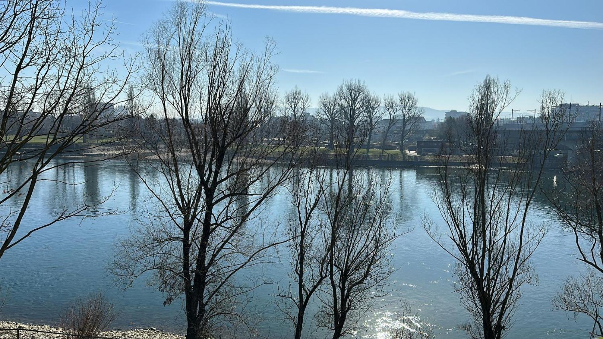 Rhine View Appartement