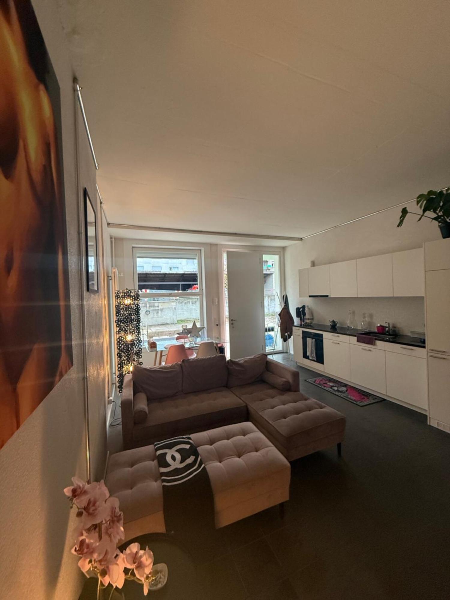 Apartment Loft By Messe With A Garden And 24h Service Basel