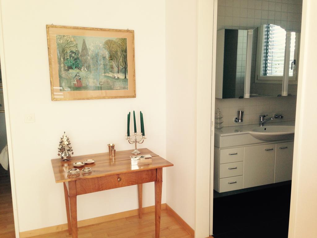 Avliving Flat With Roof Garden * Basel