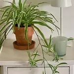 Avliving City Room Basel