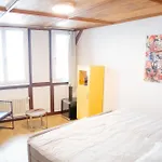 Rheinstream Guesthouse Basel