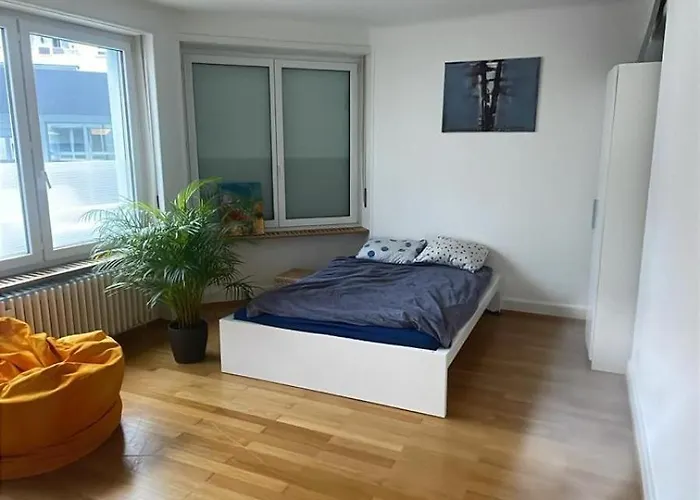Perfect Esc Apartment In Basel