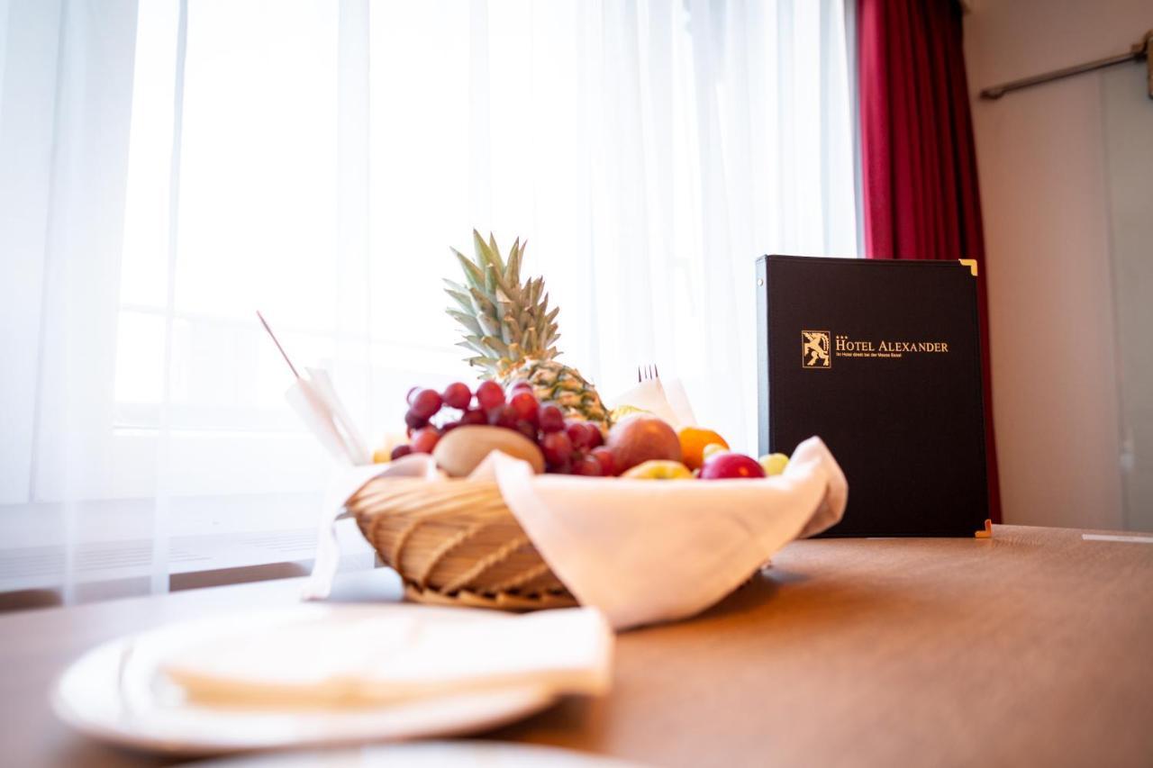 Budget Alexander 3* Basel