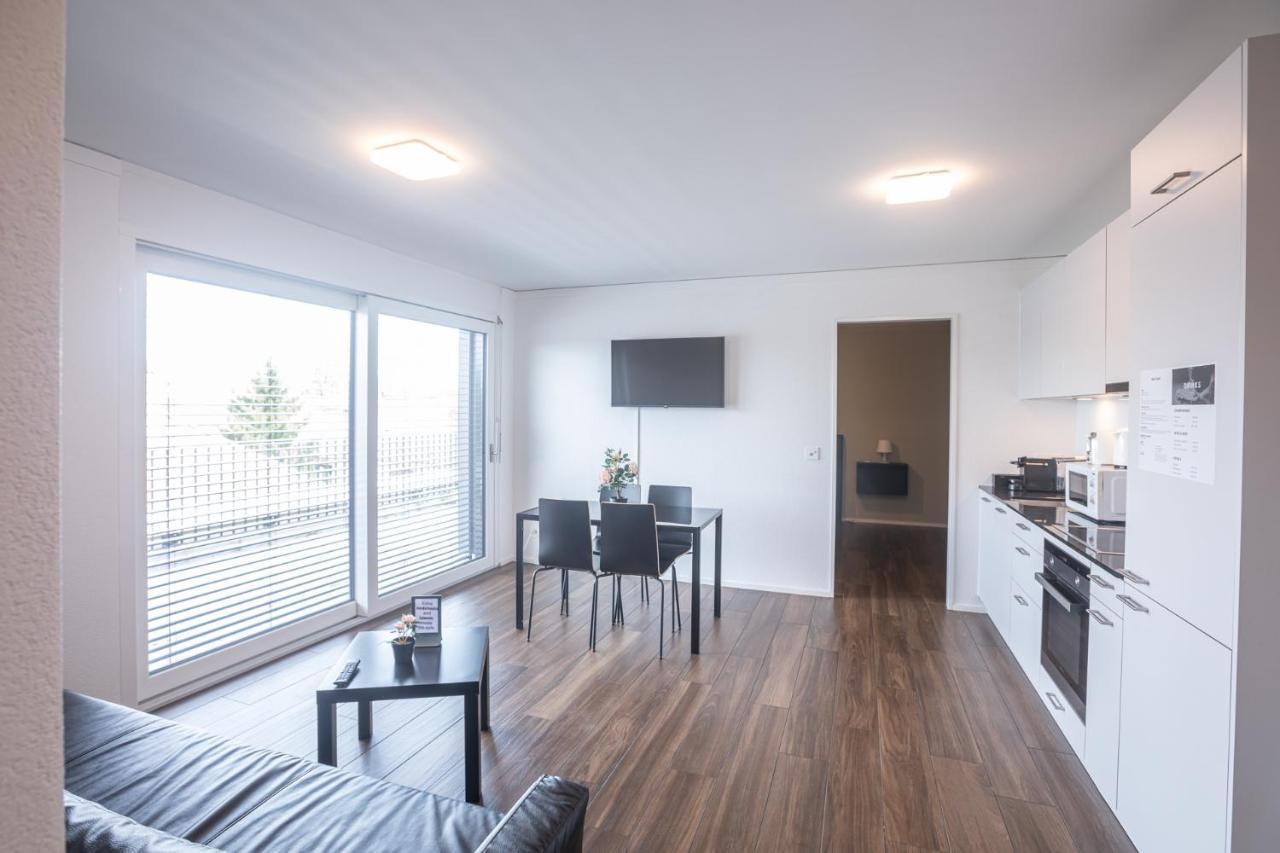 Skyline Exclusive Penthouse Apartment Basel