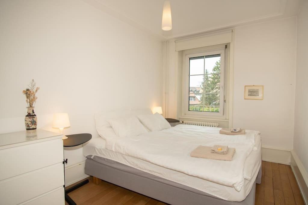 Spacious Next To Park With Free Baselcard Apartment *