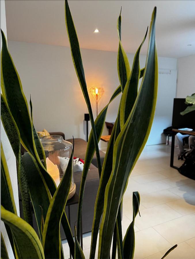 Cozy New Flat 40sqm, Onfront Busstation, 10min To Centre
