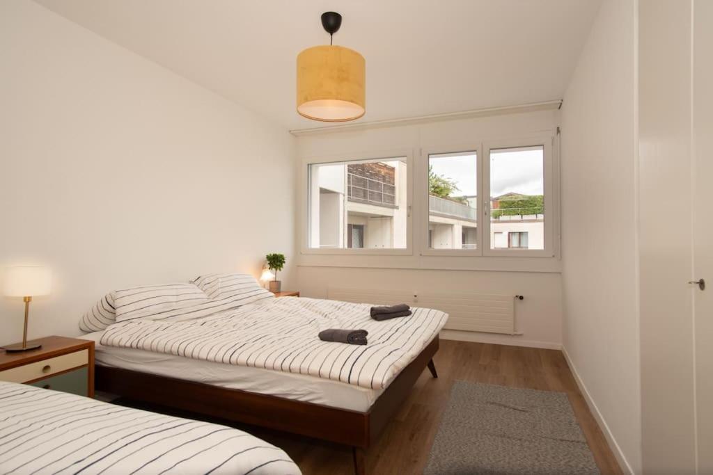 Spacious Next To Rhine * Basel