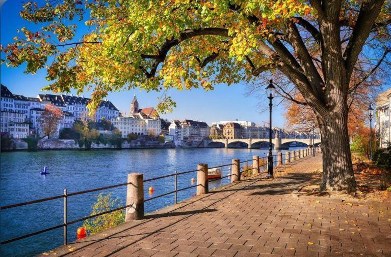 Daire Schweiz