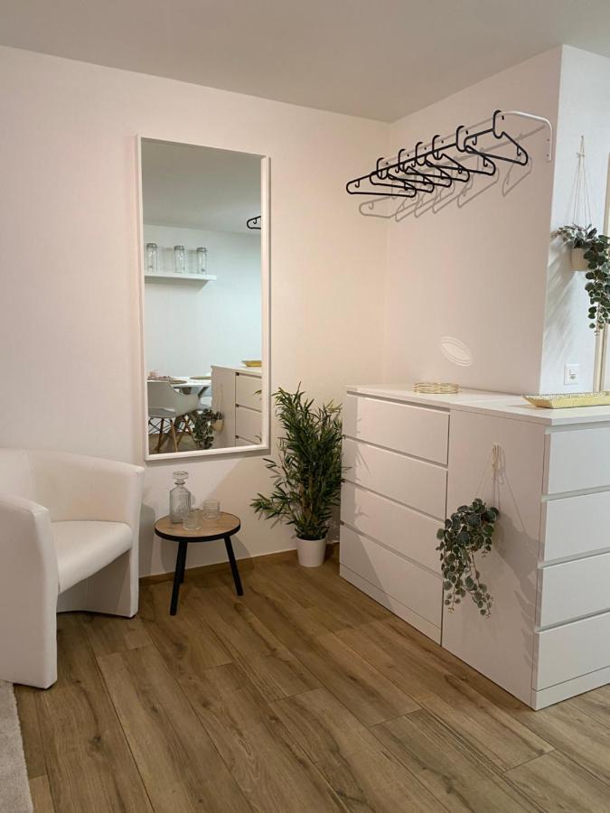 Eine Schoene Am Messeplatz Appartement Bazel