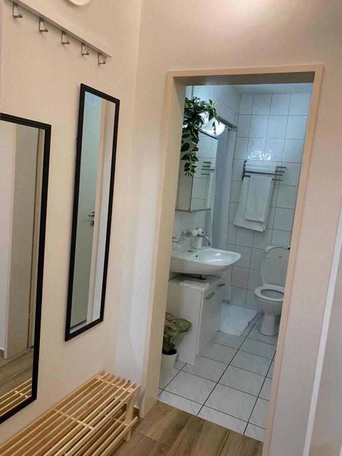 Eine Schoene Am Messeplatz Appartement Bazel
