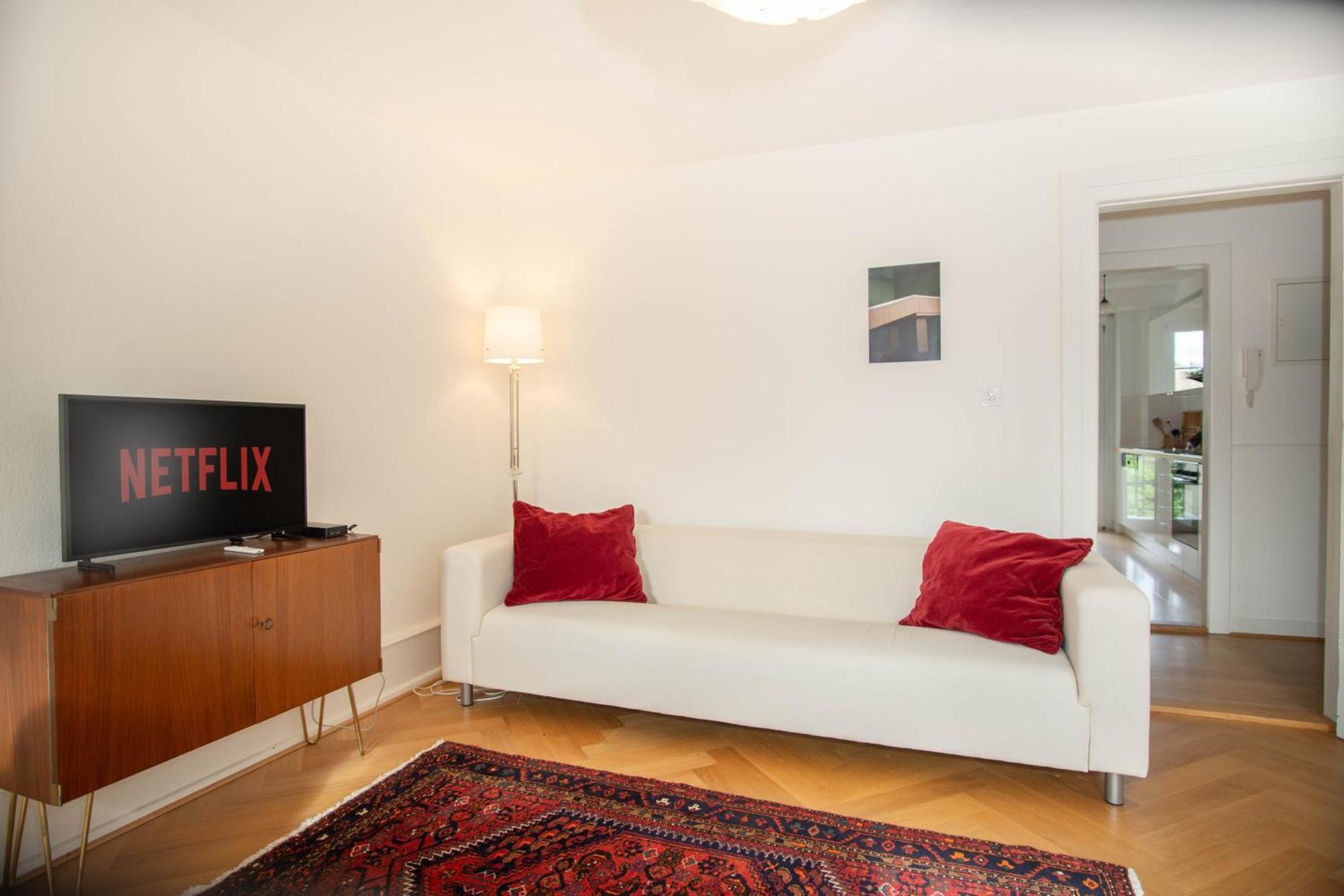 Spacious Next To Park With Free Baselcard * Basel