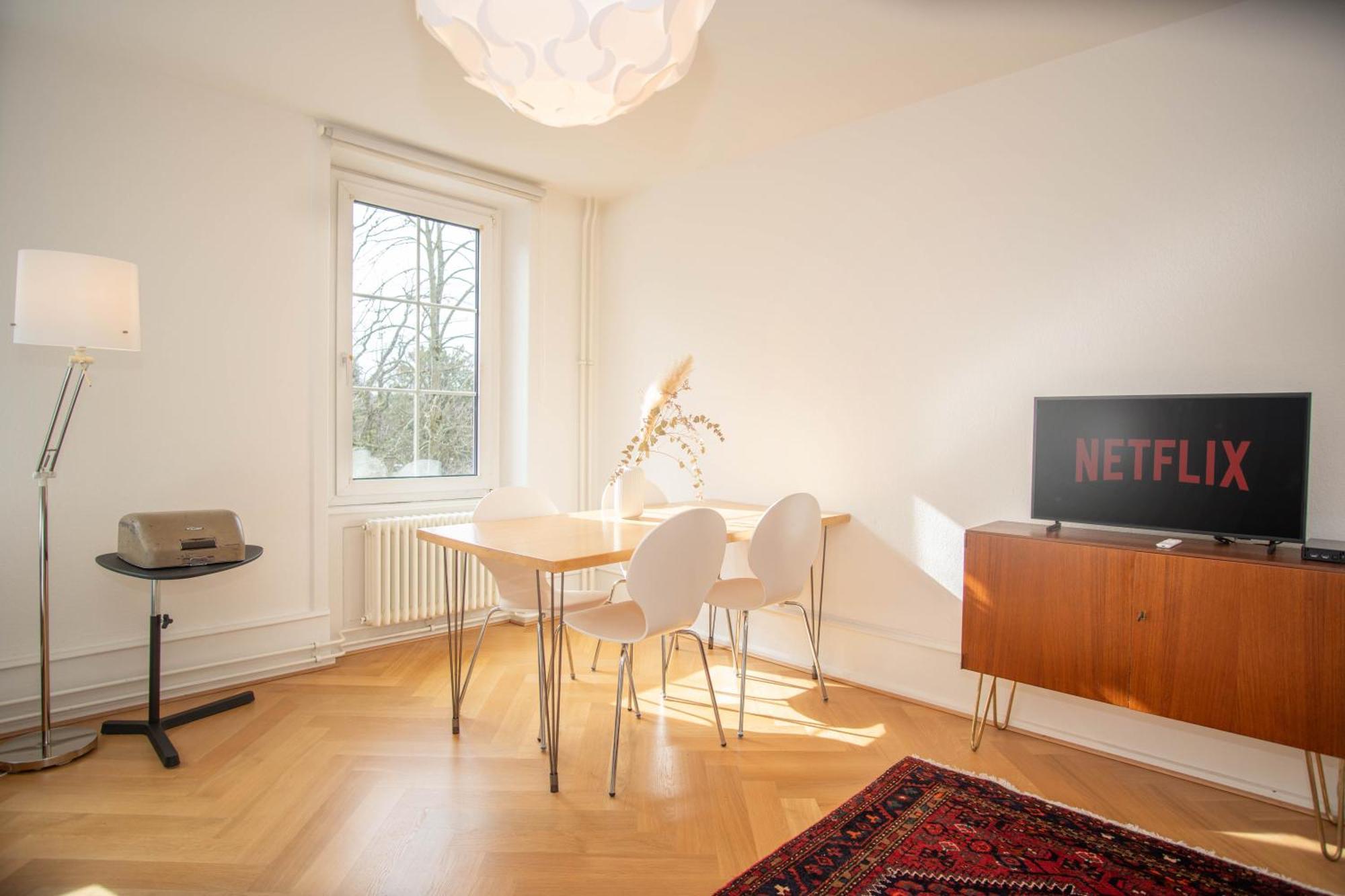 Spacious Next To Park With Free Baselcard Apartment