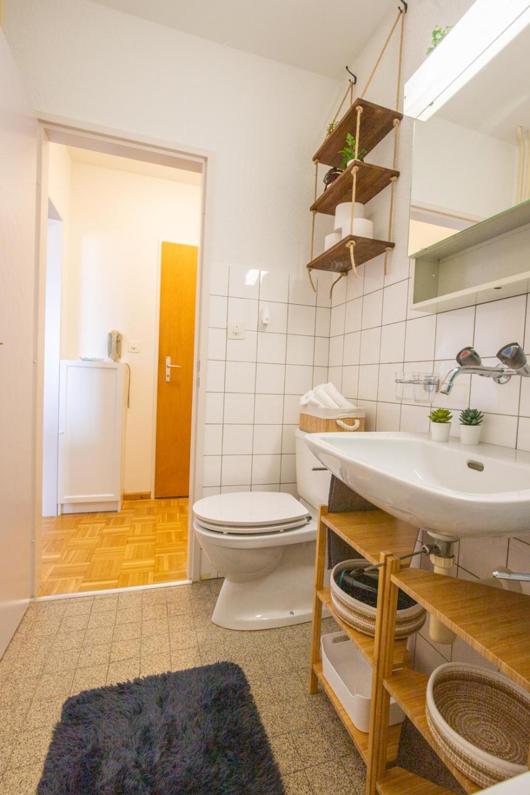 Special Blue Tiger Basel, Messe Kleinbasel 10-star Apartment Basel