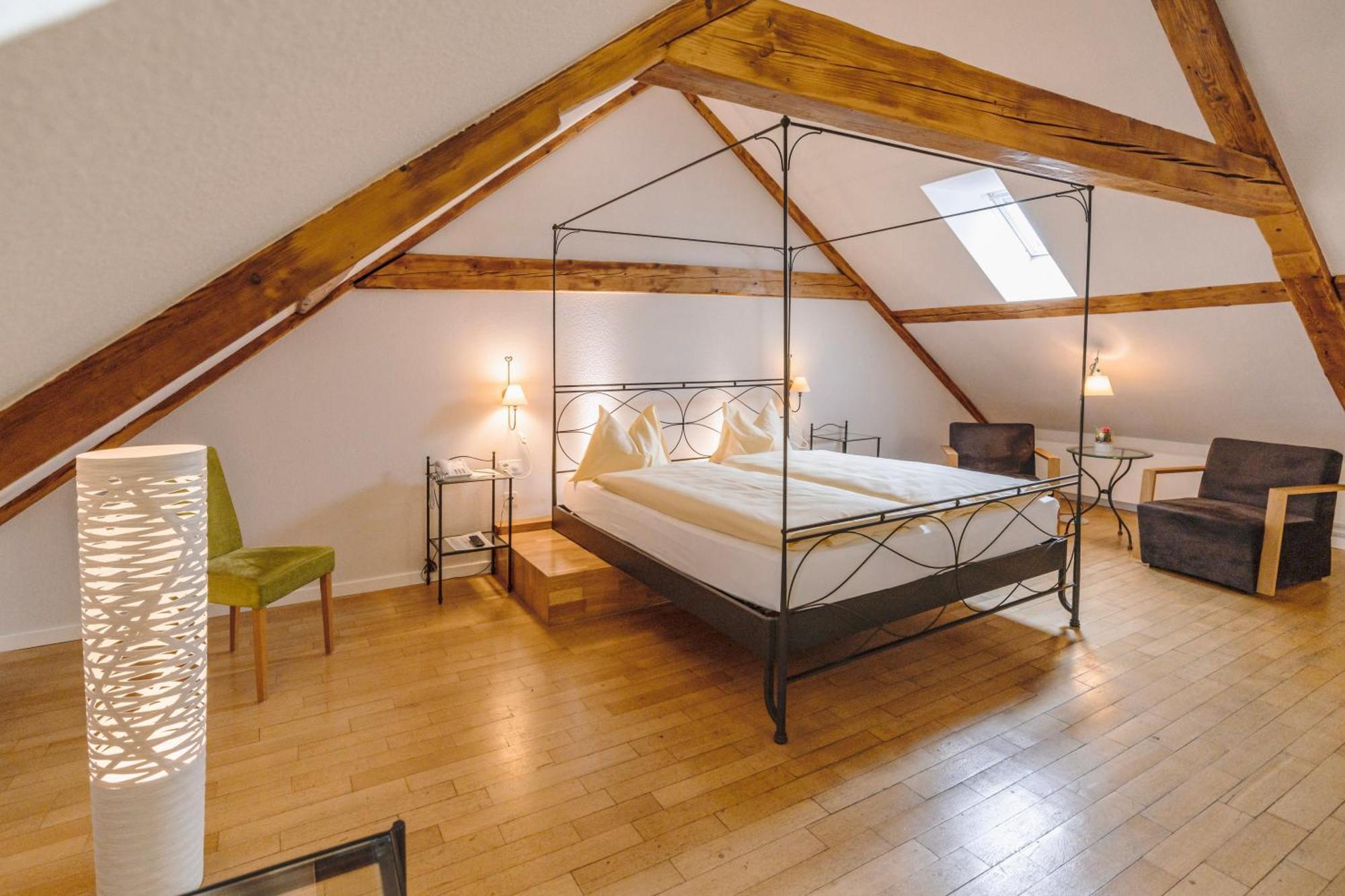 Otel Odelya - Stadthotel Im Park Basel