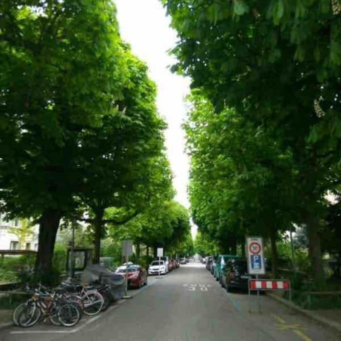 Quiet And Bright Near Everything *