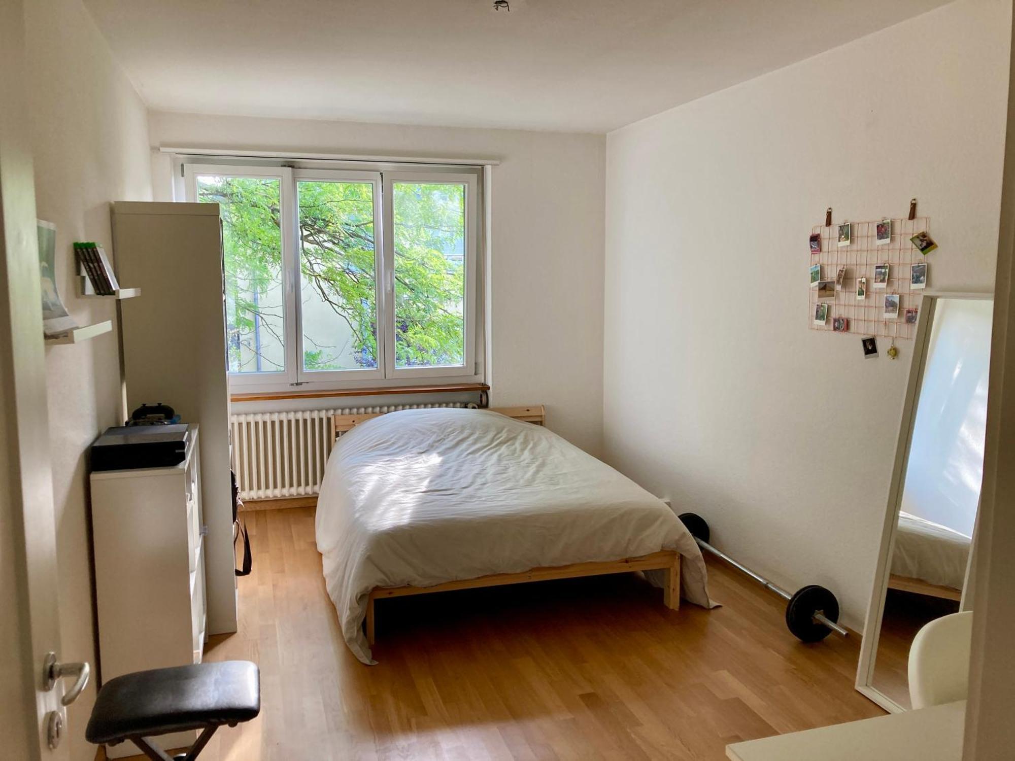 Altbau Near St Alban Tal Apartment *
