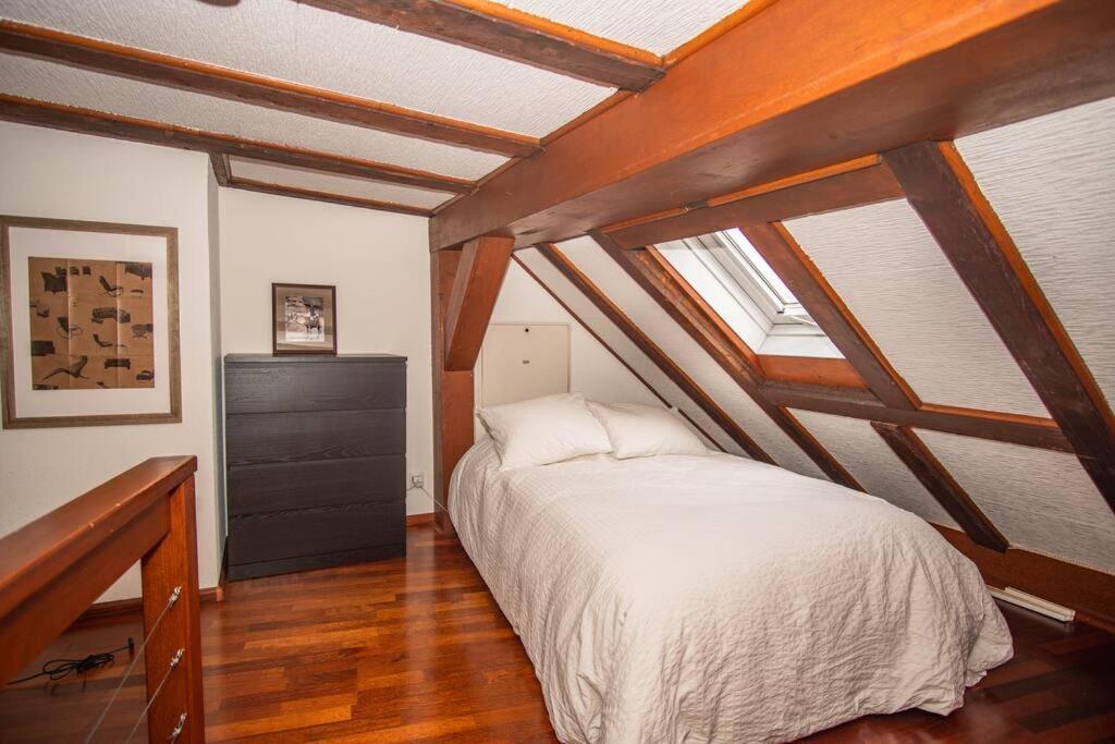 Apartment Duplex Penthouse With Panoramic Terrace Basel