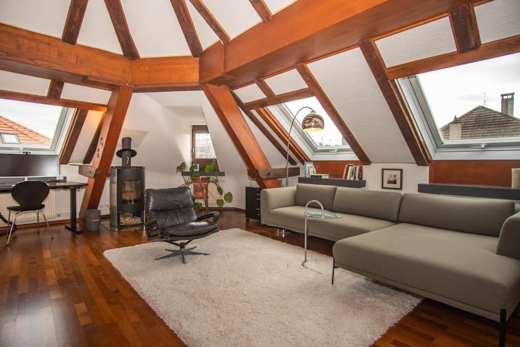 Apartment Penthouse In Center With Free Baselcard Basel
