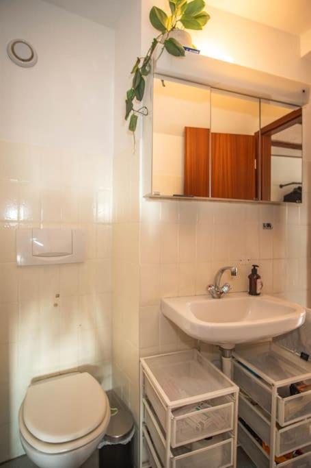 Penthouse In Center With Free Baselcard *
