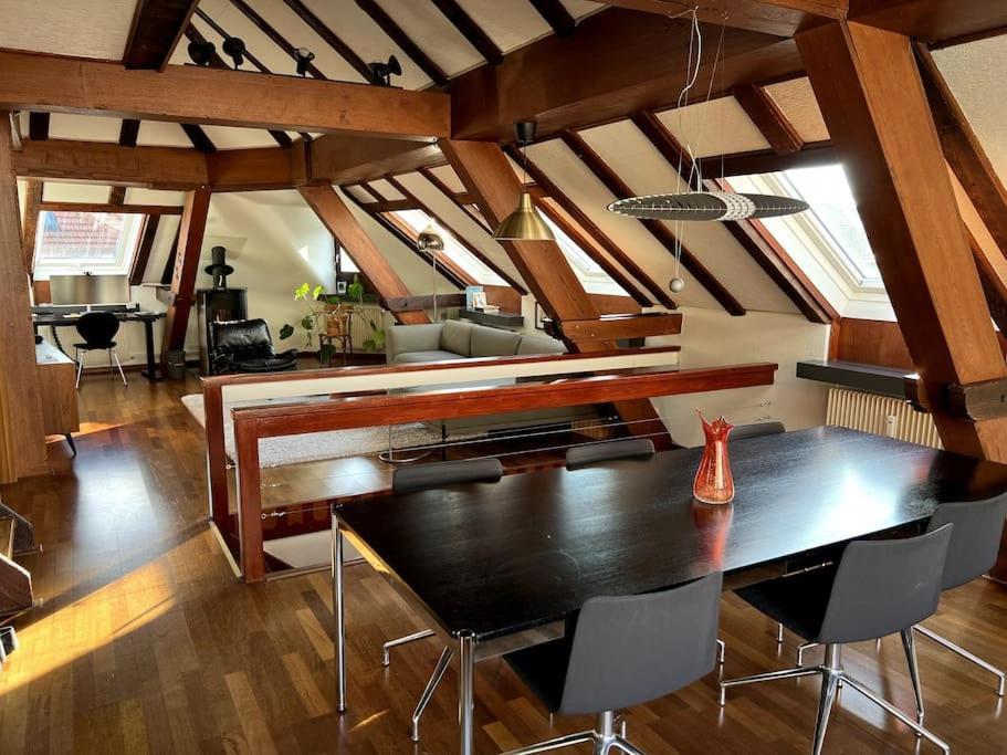 Apartment Penthouse In Center With Free Baselcard Basel