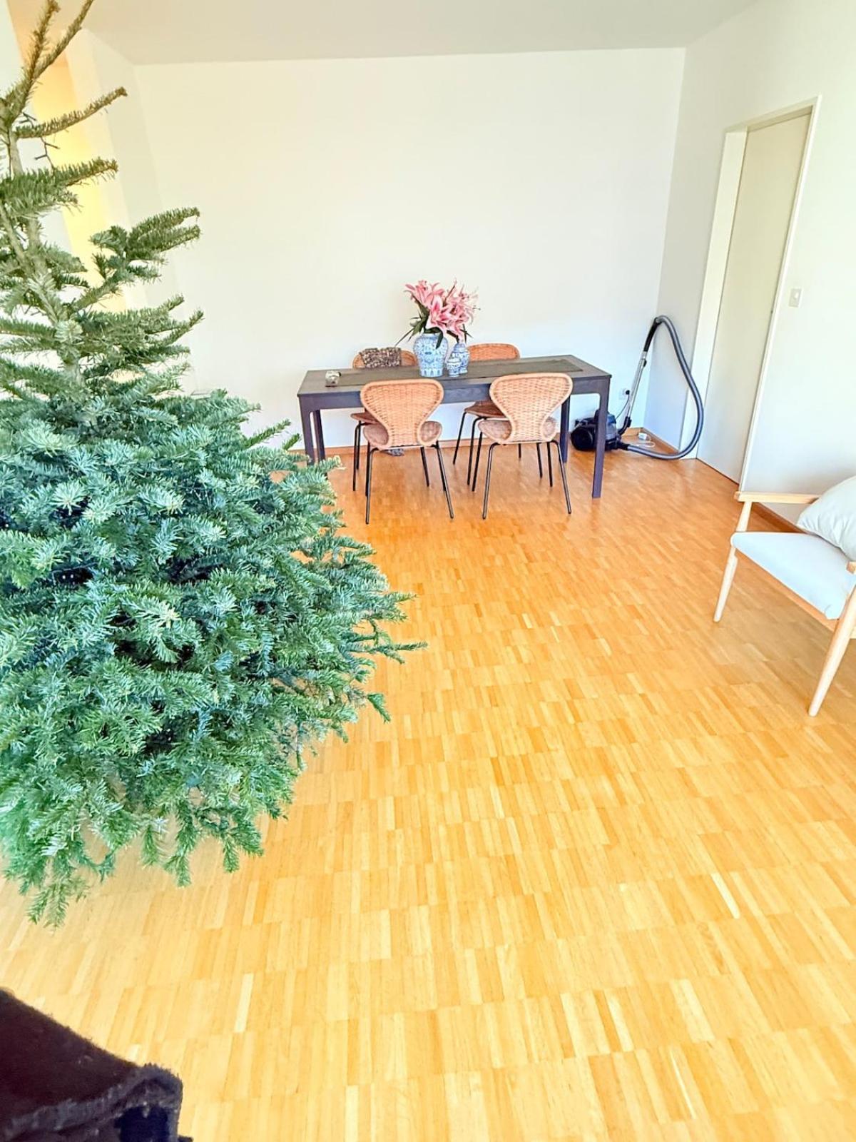 Very Flat 80 Meter From Sbb Apartment