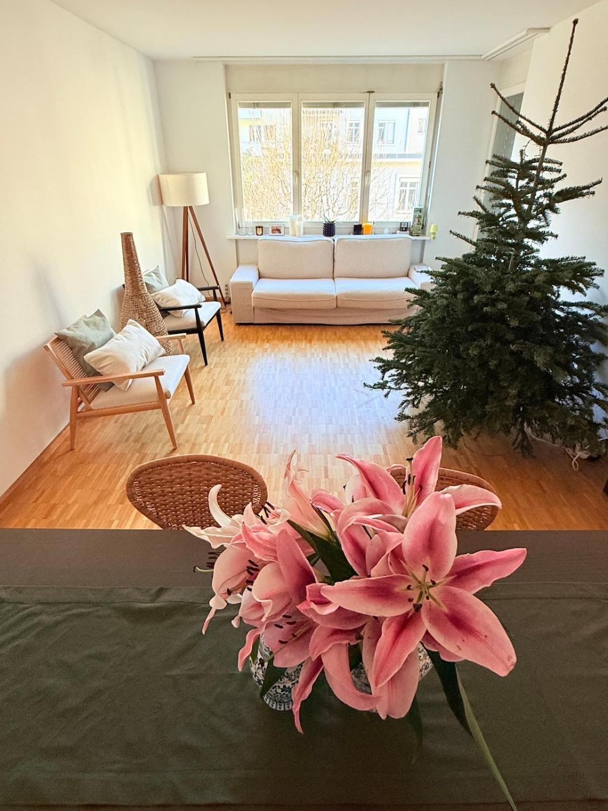 Apartment Very Flat 80 Meter From Sbb *