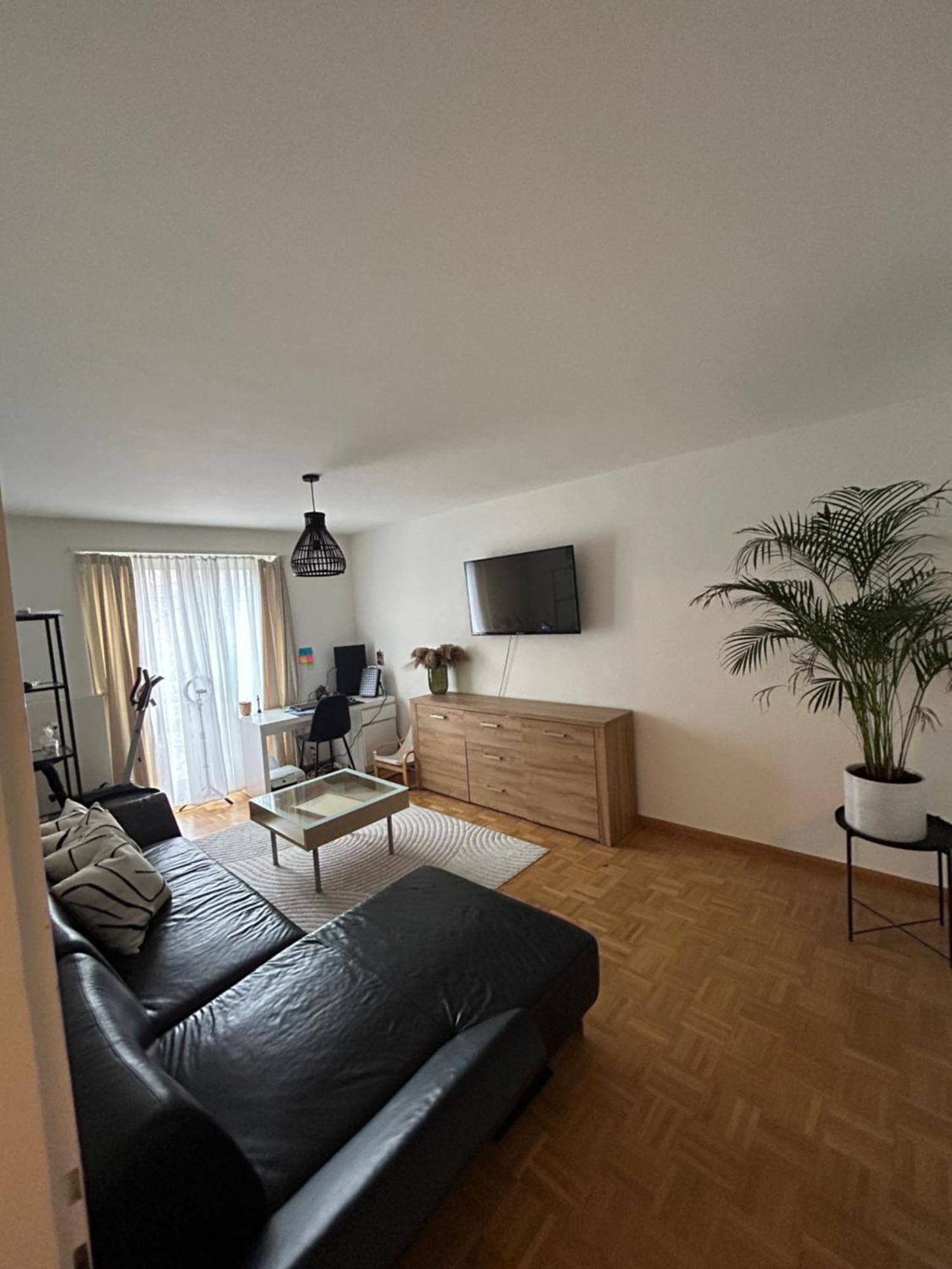 Apartment Gemuetliche In Basel, Nahe Am Rhein *