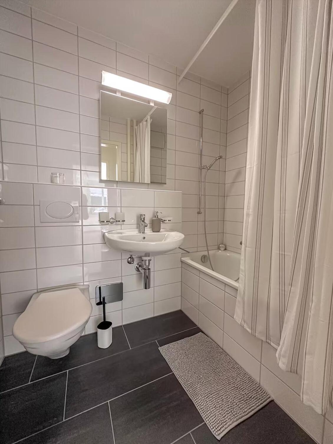 Apartment With Free Baselcard - Dali Basel