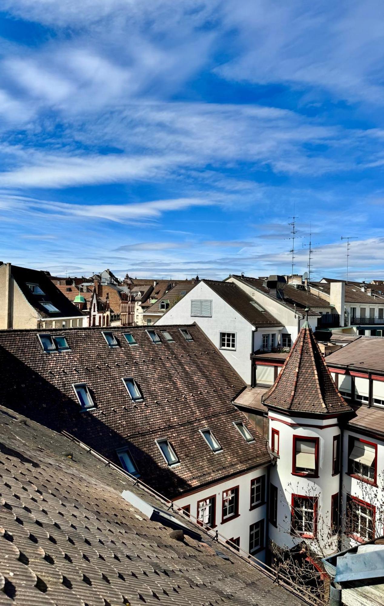 Center Rooftop Balcony-studio At Town Hall Basel