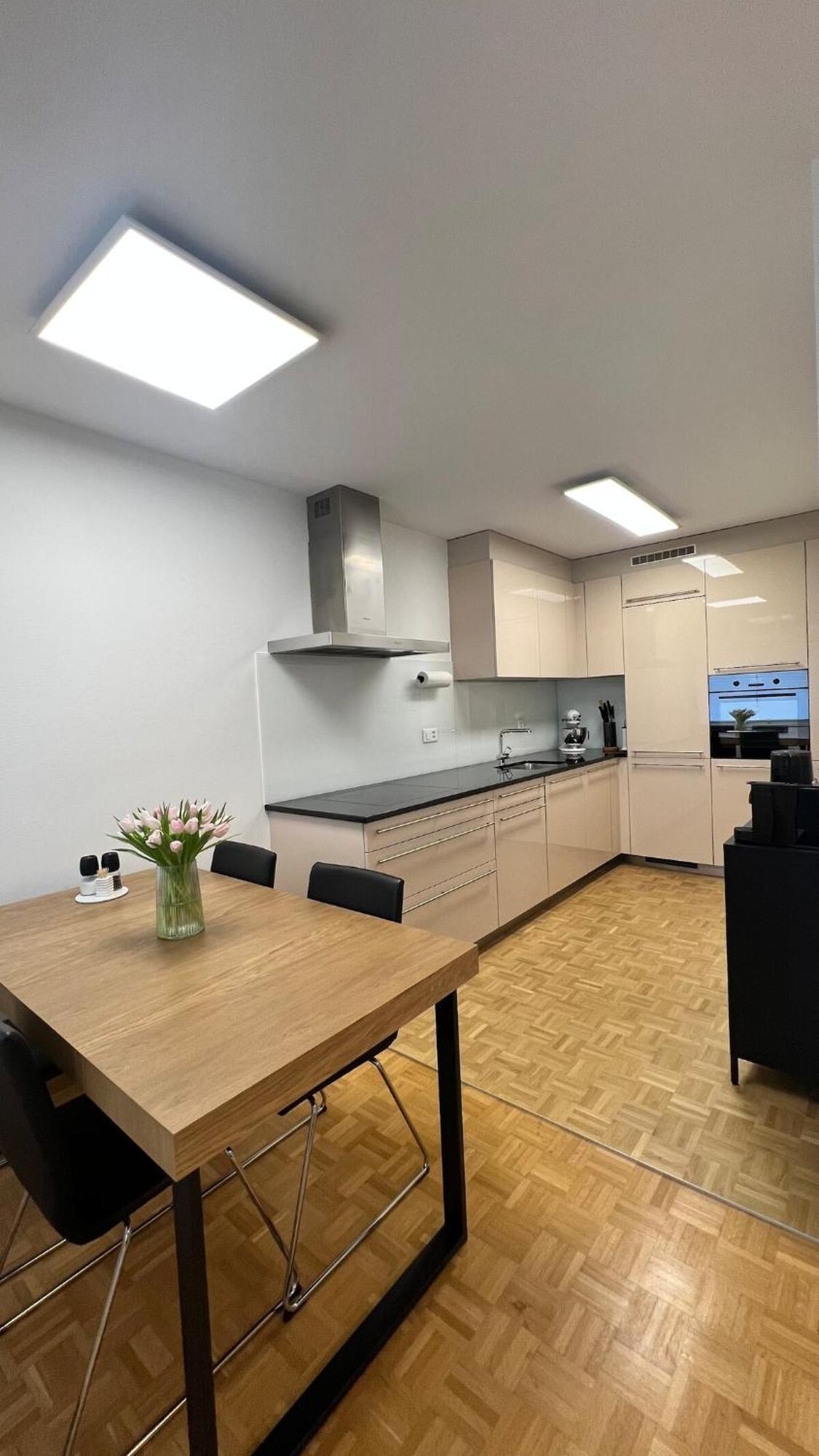 Modern In Apartment Basel